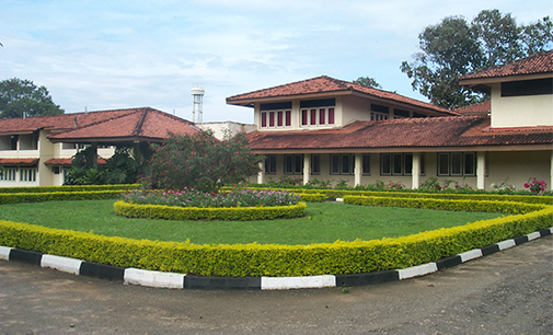 Department of Animal Production and Health